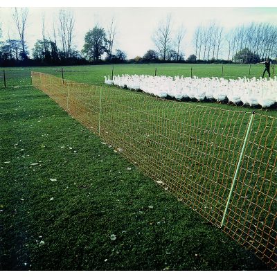 EURO-net extra for chicken with double top, height: 112 cm, length: 50 m - poultry NET