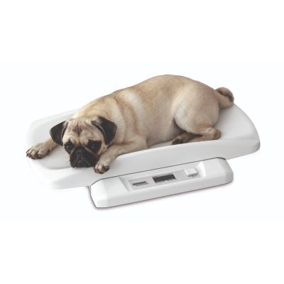 Small animal scale "Pet" with removable tray - digital scale for small animals up to 20kg