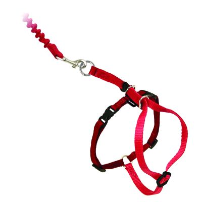 Easy walk™ cat harness and lead 33-46 cm