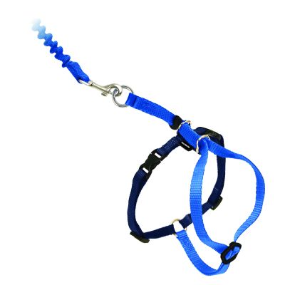 Easy™ walk 27-36 cm cat harness and leash, blue