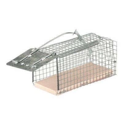 Mousetrap wire cage