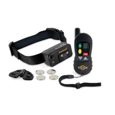 100 m remote trainer for big dogs