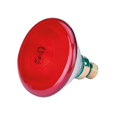 Philips Infrarotsparbirne 175 Watt, rot - Infrarotsparlampe in robuster Ausführung