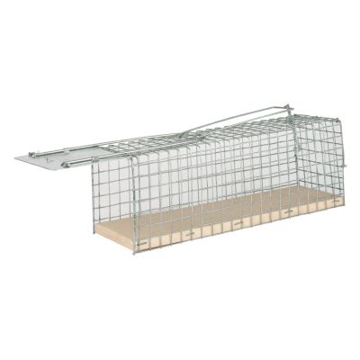 Rat trap wire cage