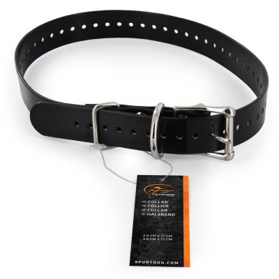 Collar 2.5 cm black - SAC30-13316 sport dog training needs