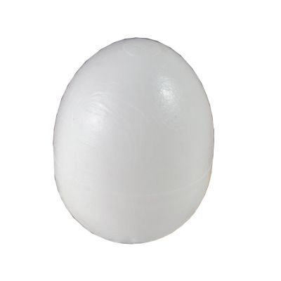 Plastic pigeon eggs