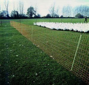 EURO-net extra for chicken with double top, height: 112 cm, length: 50 m - poultry NET