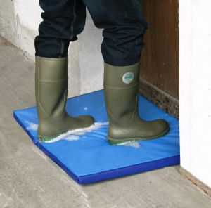 Disinfection mat 90 x 60 x 4 cm