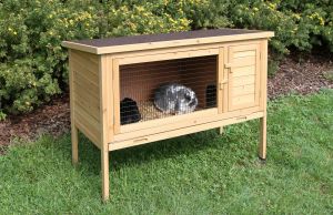Rabbit Hutch jumbo