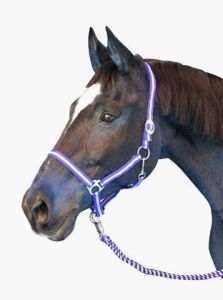 Nylon Halter hippo, size: Warmblood, various colors