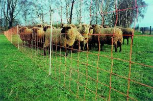 EURO-net extra high with double top, height: 120 cm length: 50 m – sheep fence