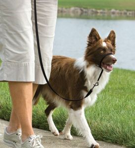 Easy walk™ head line 11 kg - 27 kg