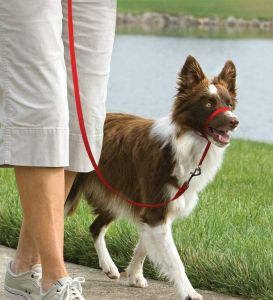 Easy walk™ head line 11 kg - 27 kg
