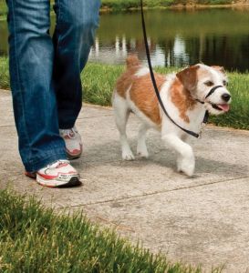 Easy walk™ head line up to 11 kg