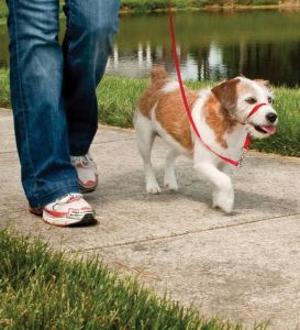 Easy walk™ head line up to 11 kg