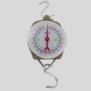 Pointer 100 kg, Division 500 grams