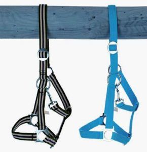 Belt Holster, size: Foals, adjustable,. Colors