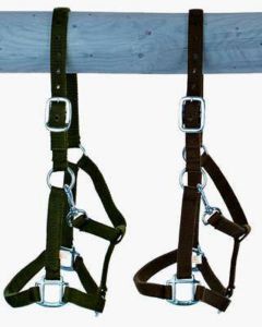 Belt Holster, size: Warmblood extra large, extra strong buckle