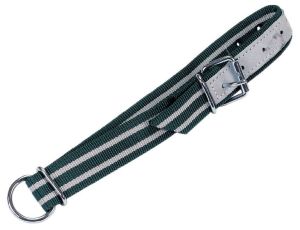 Green/white collar 130 x 4 cm, roller buckle, oval link, D-ring