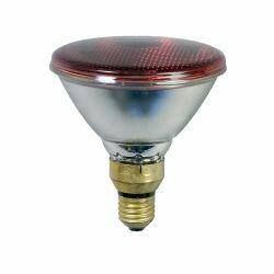 Infrared energy-efficient bulp 100 Watts, Eider