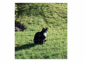 Cats power green (25 m x 75 cm)