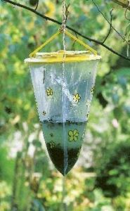 WespCage WaSP trap