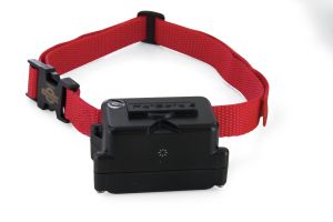 PetSafe extra receiver collar for stubborn dogs - PIG19-10763