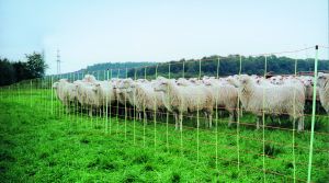 EURO-net extra double-ended 90 cm x 50 m - sheep NET sheep fence, lamb power