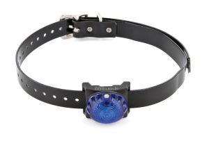 Sport dog tracking light blue SDLB-BL-E