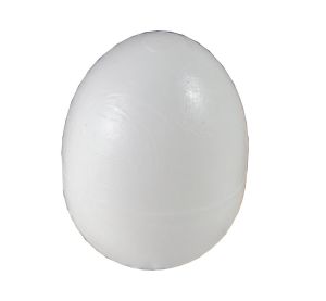 Plastic pigeon eggs
