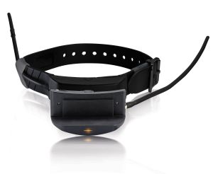 TEK SERIES E-collar module