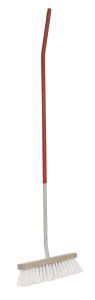 Water broom white bristles
