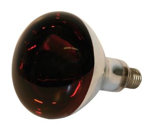 Infrared bulb 250 Watt, Eider