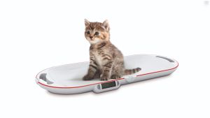 Small animal scale "Easy" 15kg maximum load - foldable small animal scale for mobile use
