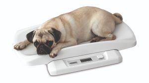 Small animal scale "Pet" with removable tray - digital scale for small animals up to 20kg