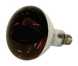 Infrared bulb 250 Watt
