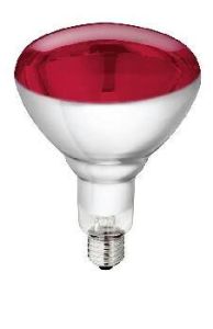 Philips infrared bulb 150 Watt