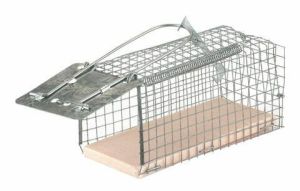 Mousetrap wire cage