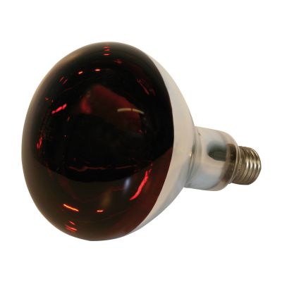 Infrarotbirne 150 Watt, Eider