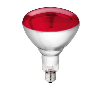 Philips infrared bulb 250 Watt