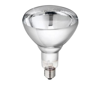 Infrared bulb of Philips white 150 W,