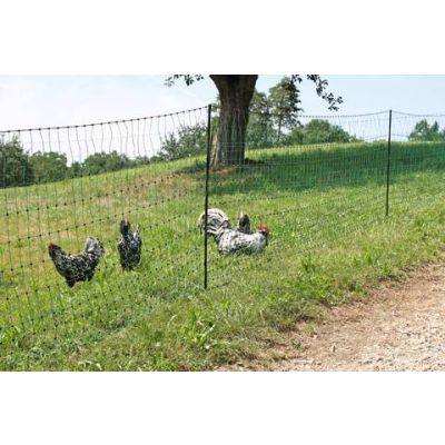 Poultry power green, electrically conductive 25 m / 112 cm twin tip