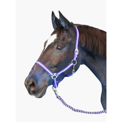 Nylon Halter hippo, size: Warmblood, various colors