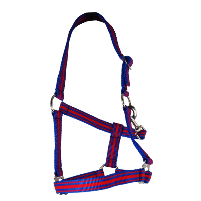 Belt Holster, size: Pony, adjustable