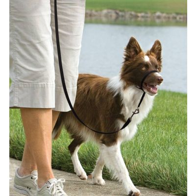 Easy walk™ head line 11 kg - 27 kg