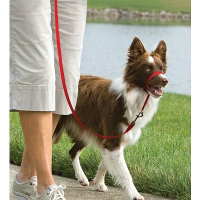Easy walk™ head line 11 kg - 27 kg