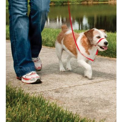 Easy walk™ head line up to 11 kg