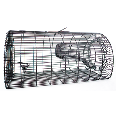 Mass trap rats, MultiRat, trap