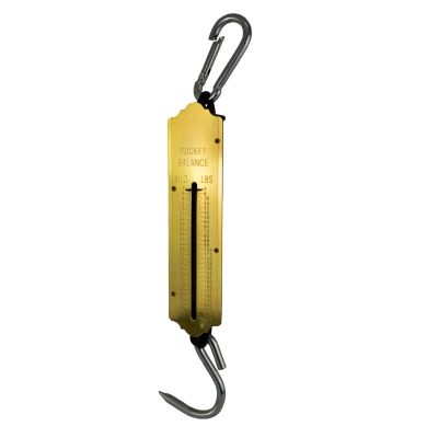 Spring scale 100 kg