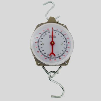 Pointer 100 kg, Division 500 grams